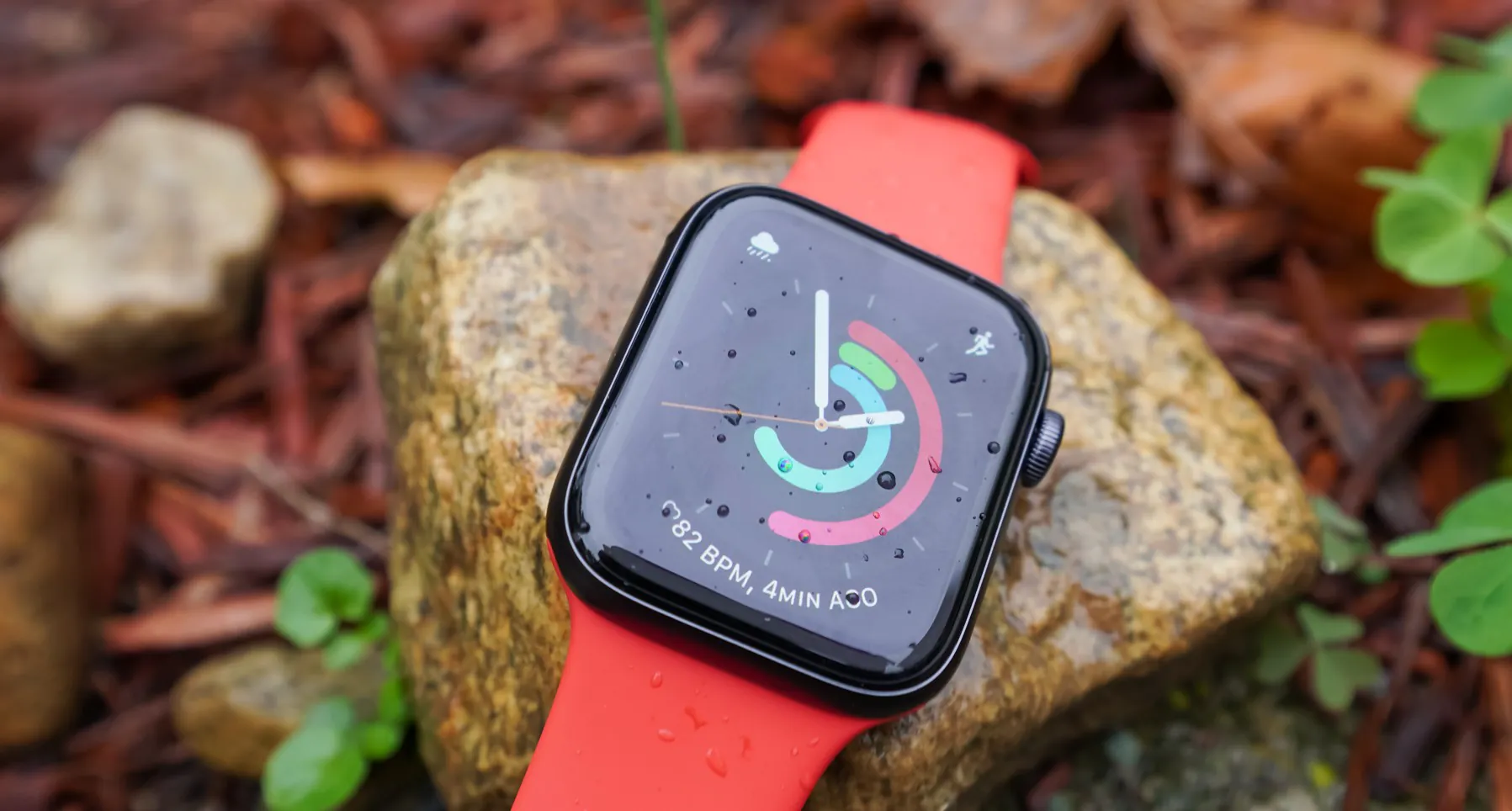 اپل واچ سری SE - اپل گلشن بهترین قیمت اپل واچ سری SE